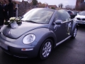 Newbeetle-mariage